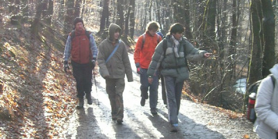 NID-639_Csovanyos2012b-01.jpg