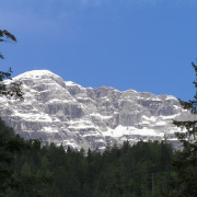 NID-739_06_maj_salzburg_44.jpg