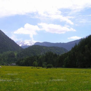 NID-739_06_maj_salzburg_52.jpg