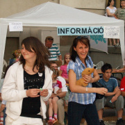 NID-788_Kerti_Parti00353.jpg