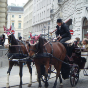 NID-975_Wien2009-18.jpg
