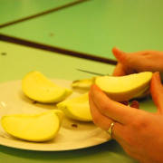 NID-1363_csoki_fondue00003.jpg
