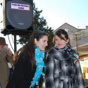 NID-1475_Nagykaroly2010-0050315.jpg