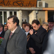 NID-1475_Nagykaroly2010-0080315.jpg
