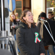 NID-1475_Nagykaroly2010-0130315.jpg