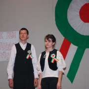 NID-1475_Nagykaroly2010-024.jpg