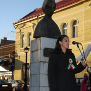 NID-1475_Nagykaroly2010-0270315.jpg