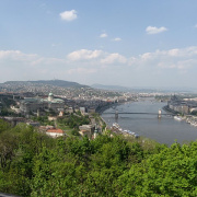 NID-1568_20100425015.jpg