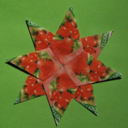 NID-2283_origami00040.JPG