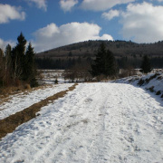 NID-2379_P2130190.JPG