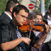 NID-2482_emlekfa 035.JPG
