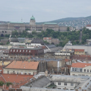 DSC_0790.jpg