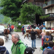 NID-2538_P1120433.JPG