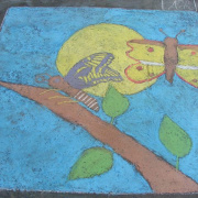 DSCF5149.JPG