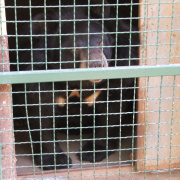 NID-3044_DSCF6004.JPG