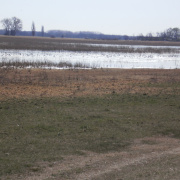 NID-3353_P4020016.JPG