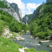NID-3354_erdely___a_tordai_hasadek_525728_91041.jpg
