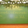 NID-3410_ballagas 004.JPG