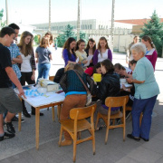 NID-3489_TESZI_zaro016.JPG