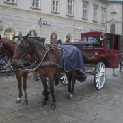 Becs 090.JPG
