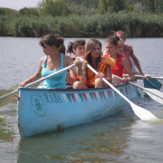 NID-3552_golyatabor294.JPG