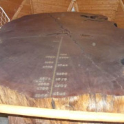NID-4555_DSCF6168.JPG