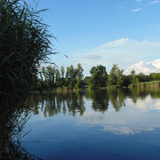 NID-4574_enekkar_Tiszaugon017.JPG