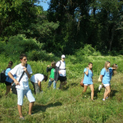 NID-4639_NID-4639_golyatabor051.JPG