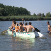 NID-4639_NID-4639_golyatabor170.JPG