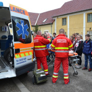 NID-5330_egeszsegnap-2014-2-131.jpg
