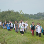 NID-5609_diakzarandoklat149.JPG