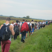 NID-5609_diakzarandoklat166.JPG