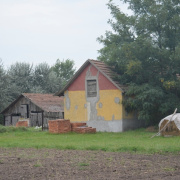 NID-5609_diakzarandoklat256.JPG