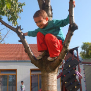 NID-6036_eletkepek035.jpg