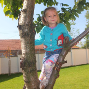 NID-6036_eletkepek036.jpg