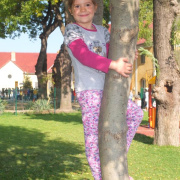 NID-6036_eletkepek038.jpg