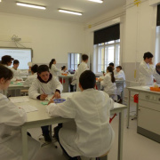 NID-6302_P1010607.JPG