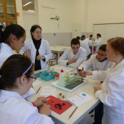 NID-6302_P1010615.JPG