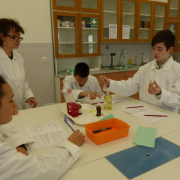 NID-6302_P1010637.JPG