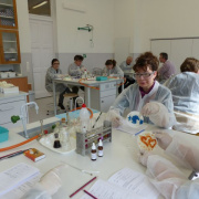 NID-6303_image271.jpg