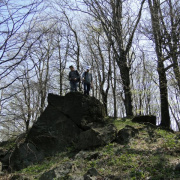 NID-6326_kepek046.jpg