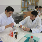 NID-6344_laborgyakorlat_DNS15.jpg