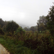 NID-5867_DSCF1211.JPG
