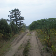 NID-3623_zarandoklat018.JPG