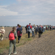 NID-3623_zarandoklat117.JPG