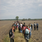 NID-3623_zarandoklat132.JPG