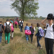 NID-3623_zarandoklat138.JPG