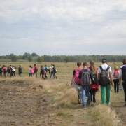 NID-3623_zarandoklat141.JPG