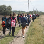 NID-3623_zarandoklat232.JPG