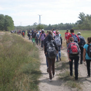 NID-3623_zarandoklat264.JPG
